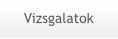 Vizsgalatok